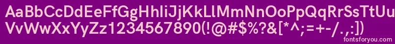 HkgroteskBold Font – Pink Fonts on Purple Background