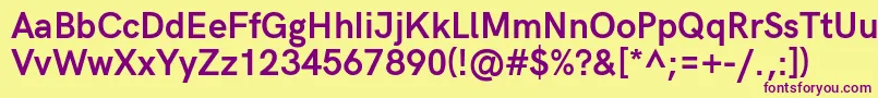 HkgroteskBold Font – Purple Fonts on Yellow Background