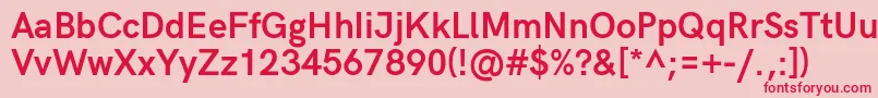 HkgroteskBold Font – Red Fonts on Pink Background