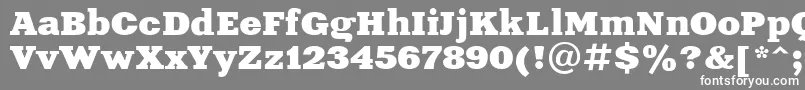 フォントXne2 – 灰色の背景に白い文字