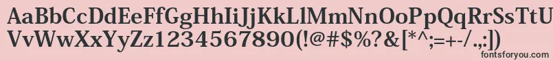 HeiseiminstdW9 Font – Black Fonts on Pink Background