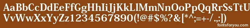 HeiseiminstdW9 Font – White Fonts on Brown Background