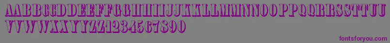 Plastischeplakatantiqua Font – Purple Fonts on Gray Background