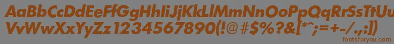 LimerickserialXboldItalic Font – Brown Fonts on Gray Background
