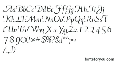 ElegansscriptsskRegular font – letter Fonts