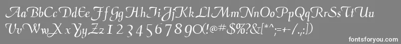 ElegansscriptsskRegular Font – White Fonts on Gray Background