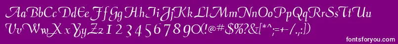 ElegansscriptsskRegular Font – White Fonts on Purple Background