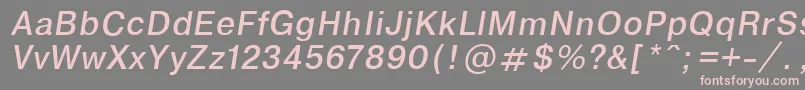 EncyclopaediaItalic.001.001 Font – Pink Fonts on Gray Background