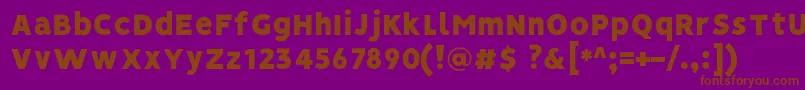 VisionBlack Font – Brown Fonts on Purple Background