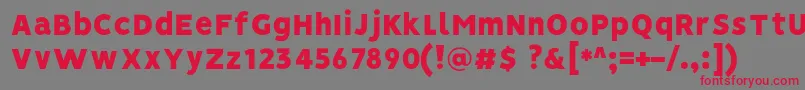 VisionBlack Font – Red Fonts on Gray Background