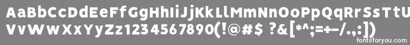 フォントVisionBlack – 灰色の背景に白い文字