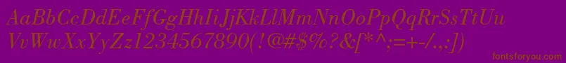 BodoniPosterSsiBookItalic Font – Brown Fonts on Purple Background