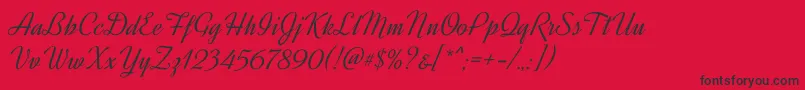 DynalightRegular Font – Black Fonts on Red Background