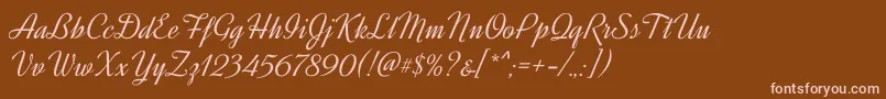DynalightRegular Font – Pink Fonts on Brown Background