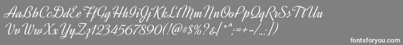 DynalightRegular Font – White Fonts on Gray Background
