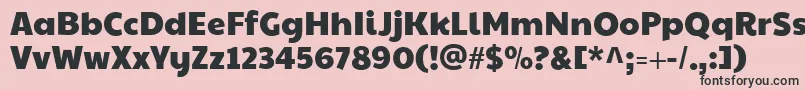 Paytoneone Font – Black Fonts on Pink Background