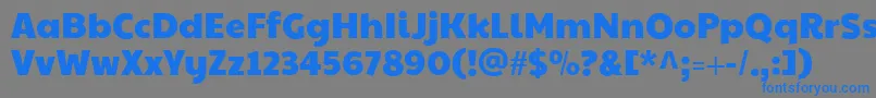 フォントPaytoneone – 灰色の背景に青い文字