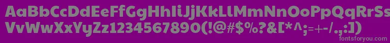 Paytoneone Font – Gray Fonts on Purple Background