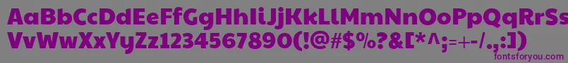 Czcionka Paytoneone – fioletowe czcionki na szarym tle