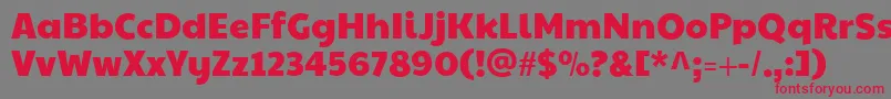 Paytoneone Font – Red Fonts on Gray Background