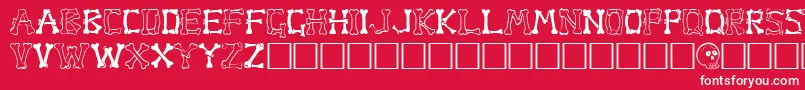 BoneRegular Font – White Fonts on Red Background