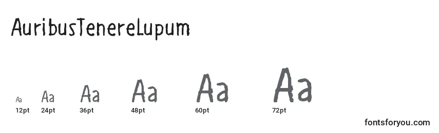 AuribusTenereLupum Font Sizes
