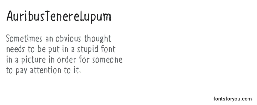 Шрифт AuribusTenereLupum