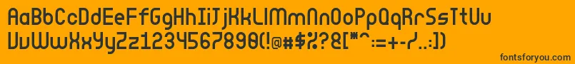 Leehaussans2Regular Font – Black Fonts on Orange Background