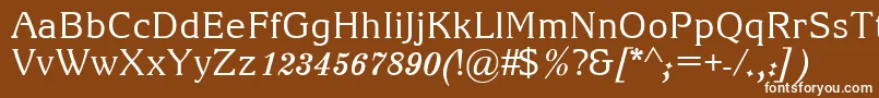 ArianGrqi Font – White Fonts on Brown Background