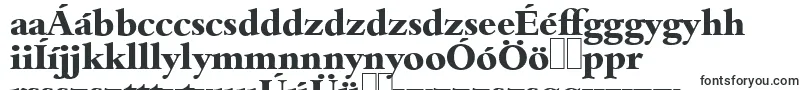 BambergserialXboldRegular Font – Hungarian Fonts