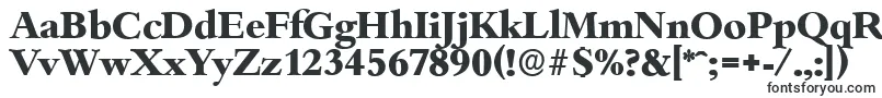 BambergserialXboldRegular Font – Vertical Fonts