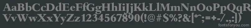 フォントBambergserialXboldRegular – 黒い背景に灰色の文字