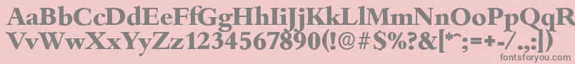 BambergserialXboldRegular Font – Gray Fonts on Pink Background