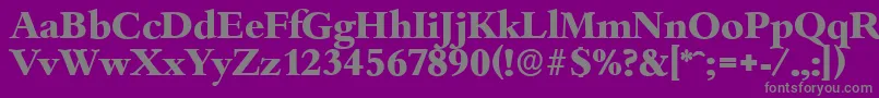 フォントBambergserialXboldRegular – 紫の背景に灰色の文字