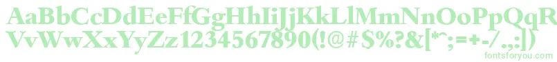 BambergserialXboldRegular Font – Green Fonts