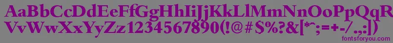 BambergserialXboldRegular Font – Purple Fonts on Gray Background