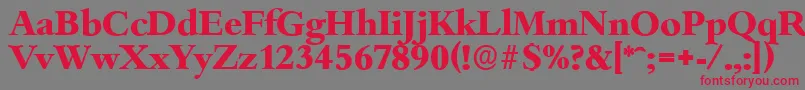 BambergserialXboldRegular Font – Red Fonts on Gray Background