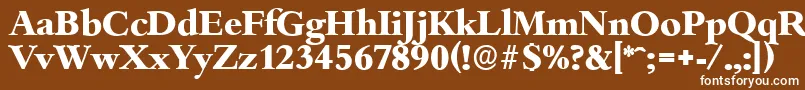 フォントBambergserialXboldRegular – 茶色の背景に白い文字