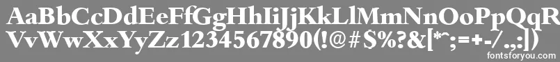 フォントBambergserialXboldRegular – 灰色の背景に白い文字