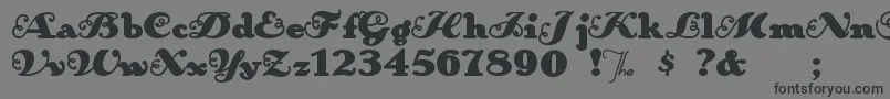 Anakroni Font – Black Fonts on Gray Background