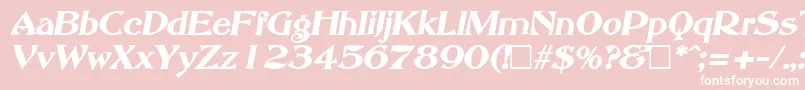 AbottoldstyleBoldItalic Font – White Fonts on Pink Background