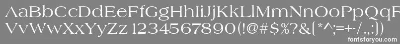 フォントHeritage – 灰色の背景に白い文字