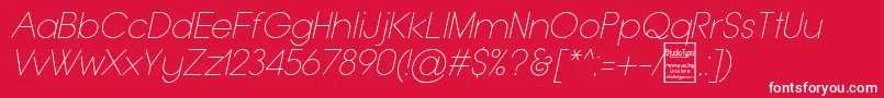 TypoGroteskThinItalicDemo Font – White Fonts on Red Background