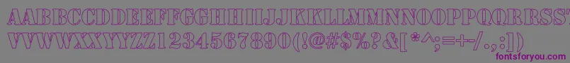 RudyHollowCondensed Font – Purple Fonts on Gray Background