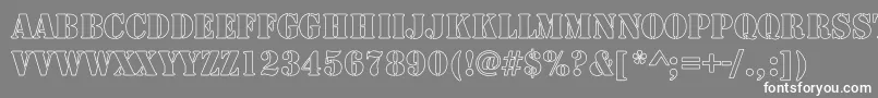 RudyHollowCondensed Font – White Fonts on Gray Background