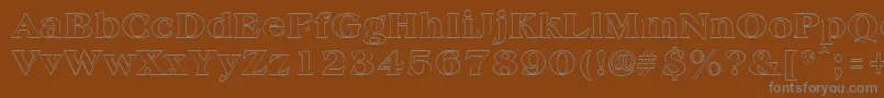 AmphionoutlineRegular-Schriftart – Graue Schriften auf braunem Hintergrund