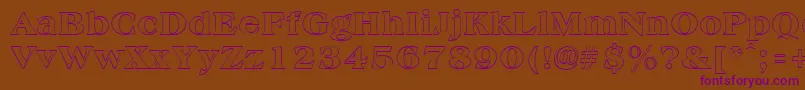 AmphionoutlineRegular Font – Purple Fonts on Brown Background