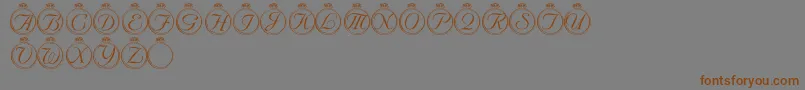 LmsSolitaryStone Font – Brown Fonts on Gray Background