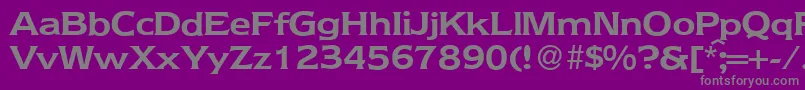 NebraskaBold Font – Gray Fonts on Purple Background
