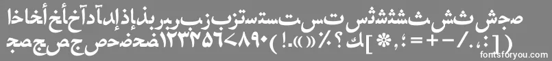 フォントHafizurduttBold – 灰色の背景に白い文字